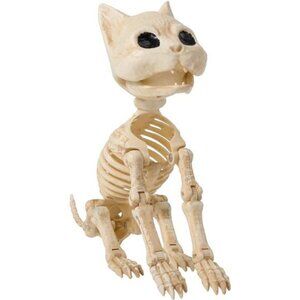 Cat Skeleton Halloween Decorations 8 Inch Plastic Animal Skeletons